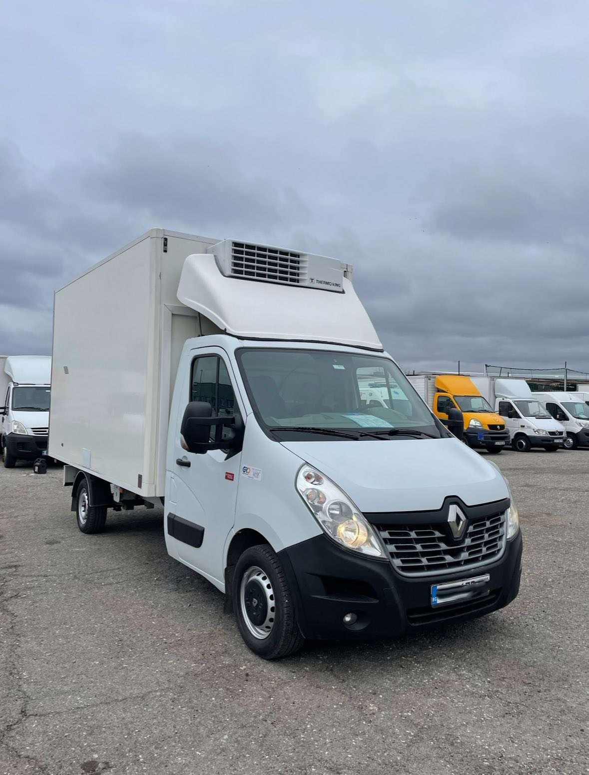 Renault Master (6 палета)